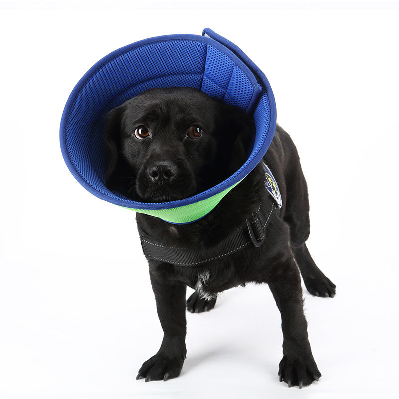 Collier anti-morsure pour chien et chat, collier de récupération médical pour animaux de compagnie, housse de protection transparente pour animaux de compagnie, collier élisabéthain circulaire pour fournitures pour animaux de compagnie
